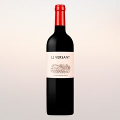 Domaine de L'Aurage - Le Versant - Castillon Cotes de Bordeaux 2020