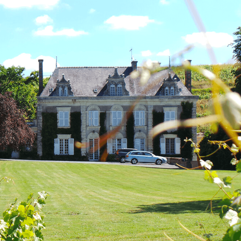 Château de la Roulerie - Coteaux du Layon 2021
